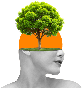 A tree growing from an open head, symbolizing creative thinking